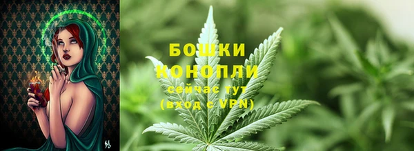 тгк Переславль-Залесский