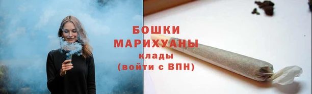 тгк Переславль-Залесский