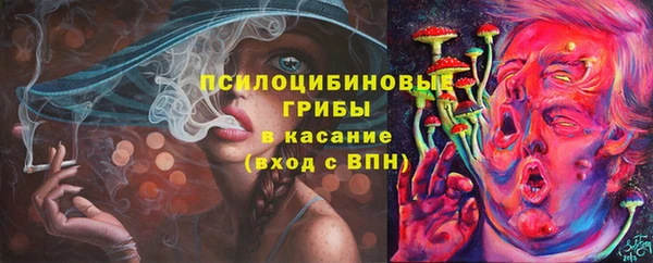 тгк Переславль-Залесский