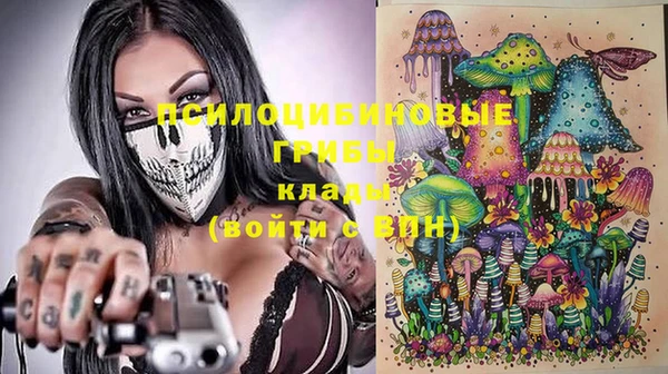 прущие крисы Пестово