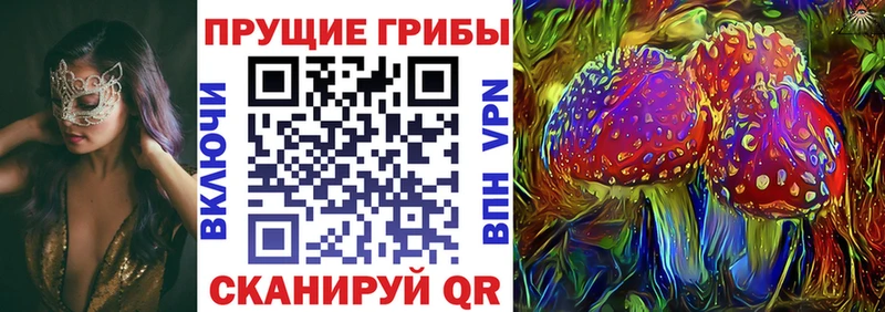 Псилоцибиновые грибы Psilocybine cubensis  Холмск 